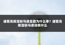 诸葛亮挥泪斩马谡是因为什么事?诸葛亮挥泪斩马谡说明什么
