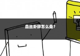 血丝卦辞怎么盘？