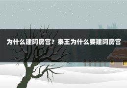 为什么建阿房宫?秦王为什么要建阿房宫