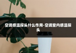 空调感温探头什么作用-空调室内感温探头