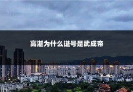 高湛为什么谥号是武成帝