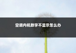 空调内机数字不显示怎么办