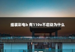 组装彩电b 有110v不启动为什么