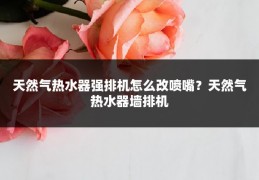 天然气热水器强排机怎么改喷嘴?天然气热水器墙排机