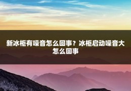 新冰柜有噪音怎么回事?冰柜启动噪音大怎么回事