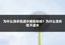 为什么洗衣机进水阀嗡嗡响?为什么洗衣机不进水