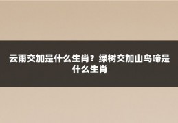 云雨交加是什么生肖?绿树交加山鸟啼是什么生肖