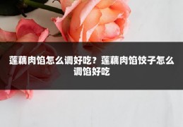 莲藕肉馅怎么调好吃？莲藕肉馅饺子怎么调馅好吃