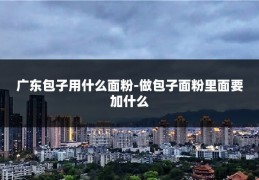 广东包子用什么面粉-做包子面粉里面要加什么