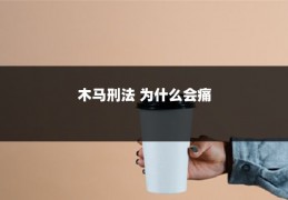 木马刑法 为什么会痛