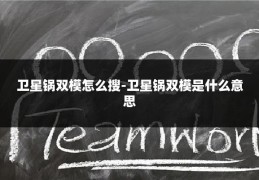 卫星锅双模怎么搜-卫星锅双模是什么意思