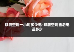 双鹿空调一小时多少电-双鹿空调售后电话多少