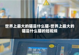 世界上最大的猫是什么猫-世界上最大的猫是什么猫的短视频