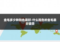 金毛多少种颜色最好-什么颜色的金毛最好最贵