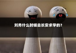 刘秀什么时候去长安求学的？