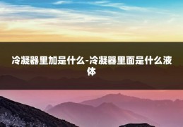 冷凝器里加是什么-冷凝器里面是什么液体