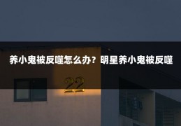 养小鬼被反噬怎么办?明星养小鬼被反噬