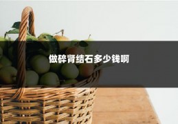 做碎肾结石多少钱啊