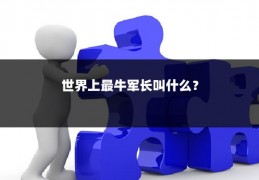 世界上最牛军长叫什么？