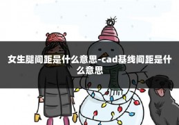 女生腿间距是什么意思-cad基线间距是什么意思