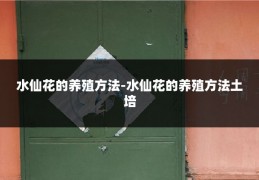水仙花的养殖方法-水仙花的养殖方法土培