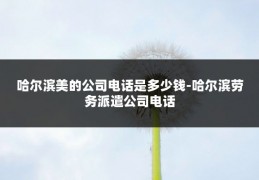 哈尔滨美的公司电话是多少钱-哈尔滨劳务派遣公司电话