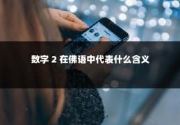 数字 2 在佛语中代表什么含义