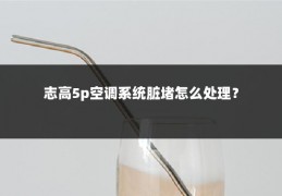志高5p空调系统脏堵怎么处理?