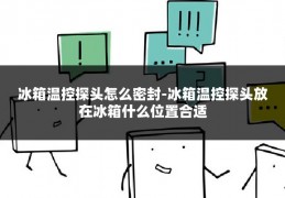 冰箱温控探头怎么密封-冰箱温控探头放在冰箱什么位置合适