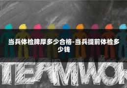 当兵体检脾厚多少合格-当兵提前体检多少钱