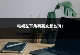 电视左下角有英文怎么消?