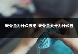 硬骨鱼为什么灭绝-硬骨鱼类分为什么目