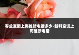 春兰空调上海维修电话多少-新科空调上海维修电话