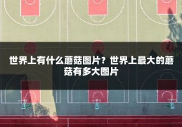 世界上有什么蘑菇图片?世界上最大的蘑菇有多大图片