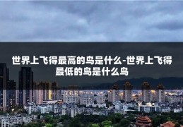 世界上飞得最高的鸟是什么-世界上飞得最低的鸟是什么鸟