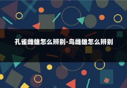 孔雀雌雄怎么辨别-鸟雌雄怎么辨别