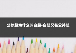 公孙起为什么叫白起-白起又名公孙起