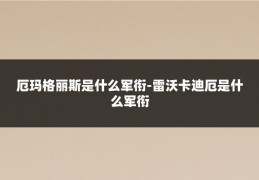 厄玛格丽斯是什么军衔-雷沃卡迪厄是什么军衔