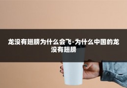 龙没有翅膀为什么会飞-为什么中国的龙没有翅膀