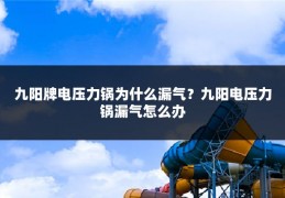 九阳牌电压力锅为什么漏气?九阳电压力锅漏气怎么办