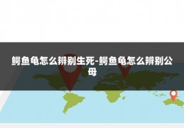 鳄鱼龟怎么辨别生死-鳄鱼龟怎么辨别公母