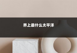 界上最什么太平洋