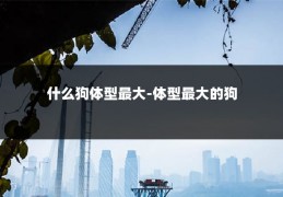 什么狗体型最大-体型最大的狗