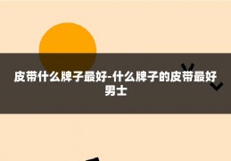 皮带什么牌子最好-什么牌子的皮带最好男士