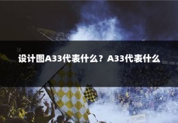设计图A33代表什么？A33代表什么