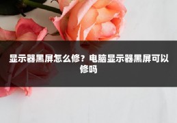 显示器黑屏怎么修?电脑显示器黑屏可以修吗