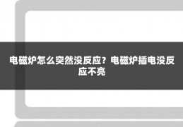 电磁炉怎么突然没反应?电磁炉插电没反应不亮