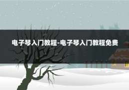 电子琴入门教程-电子琴入门教程免费