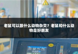 老鼠可以跟什么动物杂交？老鼠和什么动物是好朋友