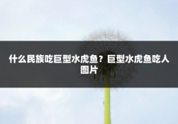 什么民族吃巨型水虎鱼?巨型水虎鱼吃人图片